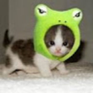 Meet your Posher, Caroline